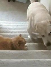 2014最新搞笑歌曲,2014年度搞笑歌曲大盘点