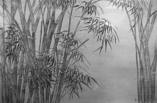 朱一诺 演员,光影交织下的演艺人生